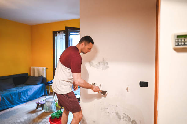 Best Mold Removal and Inspection  in Lone Jack, MO